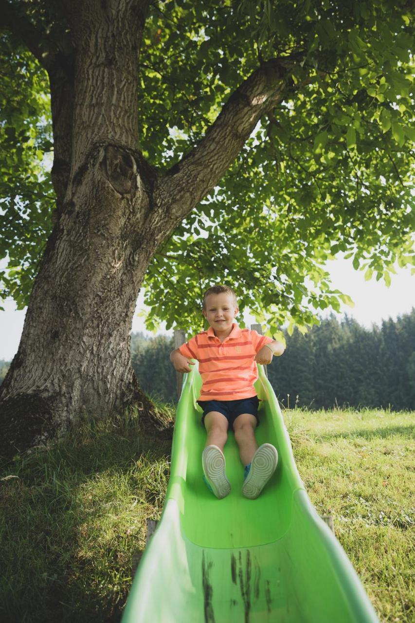 Drittlhof Apartman Hopfgarten im Brixental Kültér fotó